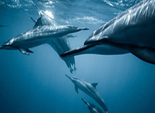 切赫祝福李昊：你表现一直很棒，祝你决赛好运